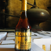 Fine Cognac Sélection - Vignoble Balluet (70 cl)